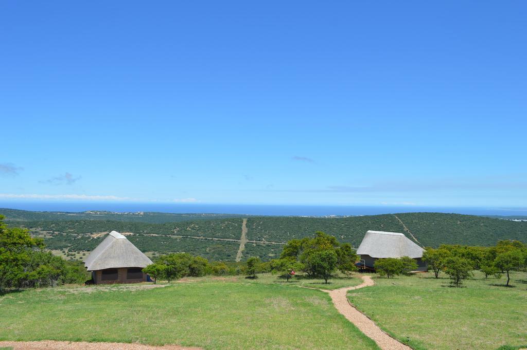 Longmore Jbay Zebra Lodge מראה חיצוני תמונה