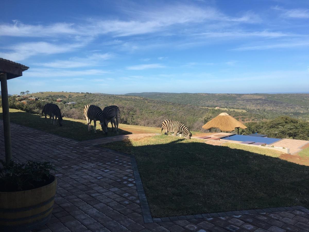 Longmore Jbay Zebra Lodge מראה חיצוני תמונה