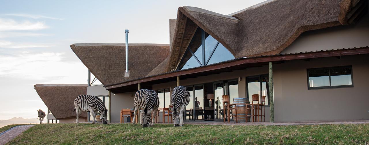 Longmore Jbay Zebra Lodge מראה חיצוני תמונה