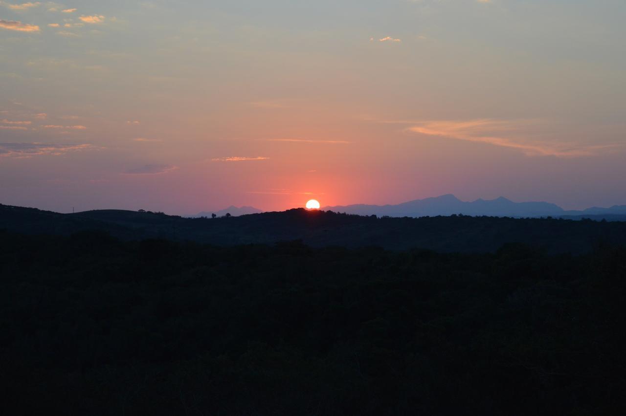 Longmore Jbay Zebra Lodge מראה חיצוני תמונה