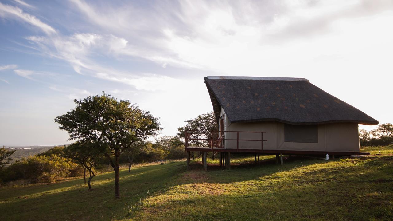 Longmore Jbay Zebra Lodge מראה חיצוני תמונה