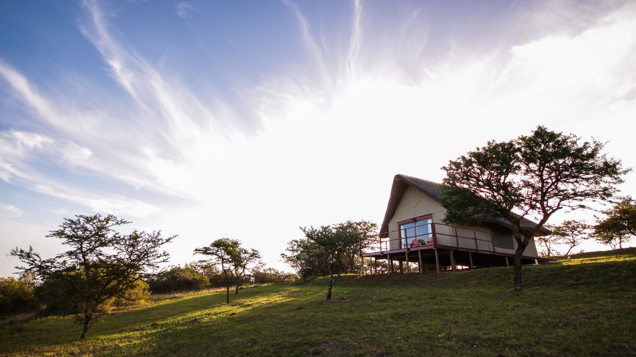Longmore Jbay Zebra Lodge מראה חיצוני תמונה