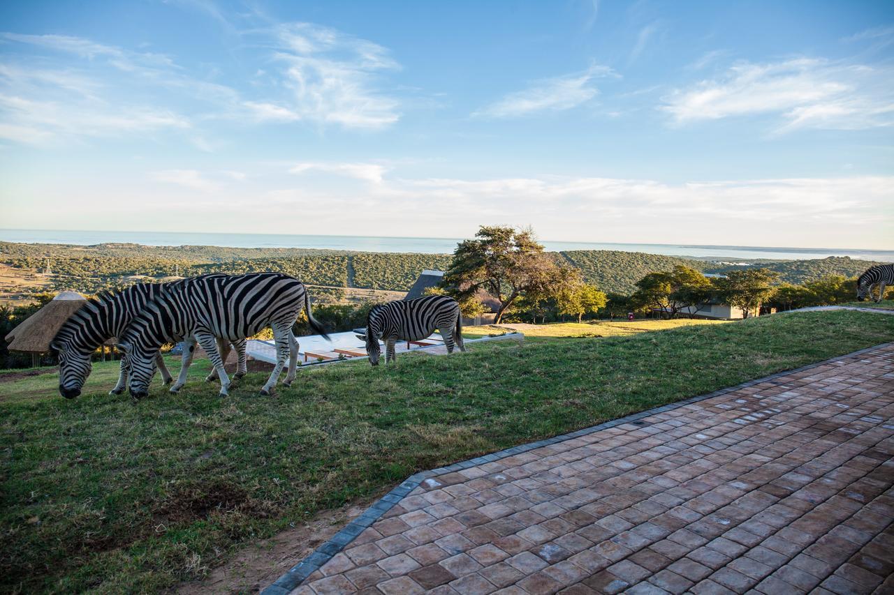 Longmore Jbay Zebra Lodge מראה חיצוני תמונה